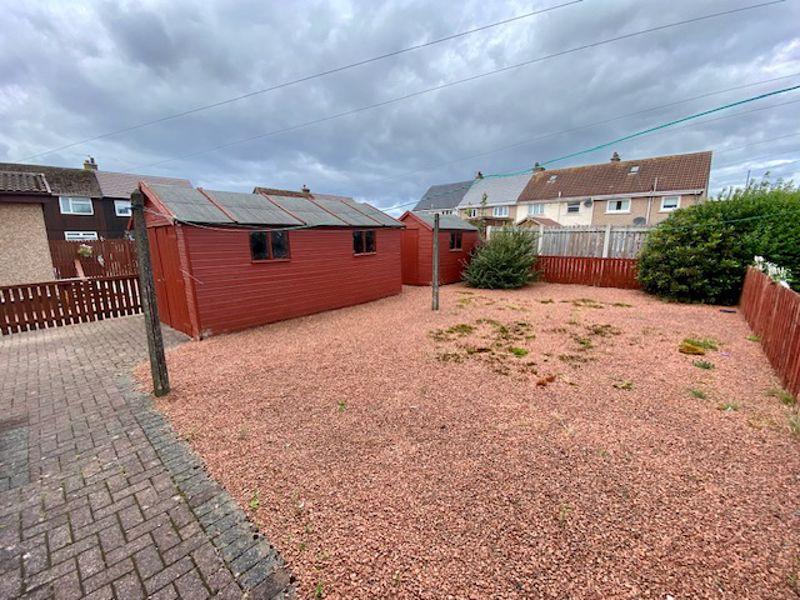 Back Garden