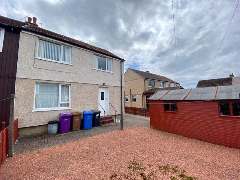 Back Garden