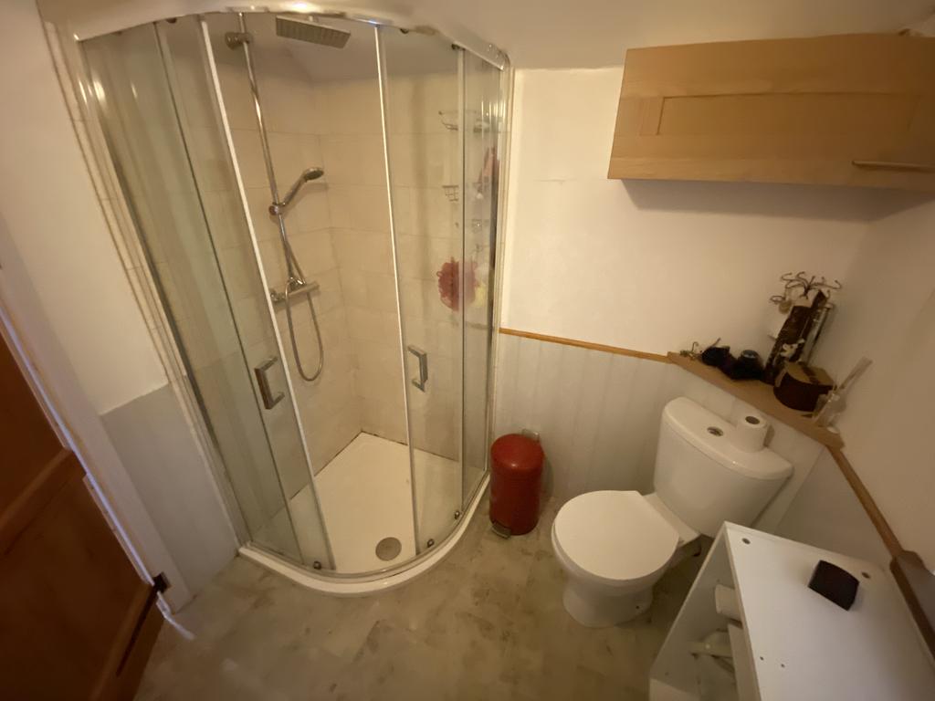 Pandy annexe shower room