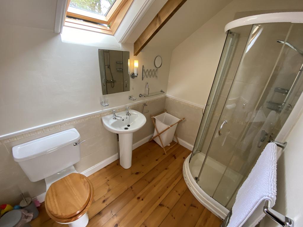 Pandy cottage shower room