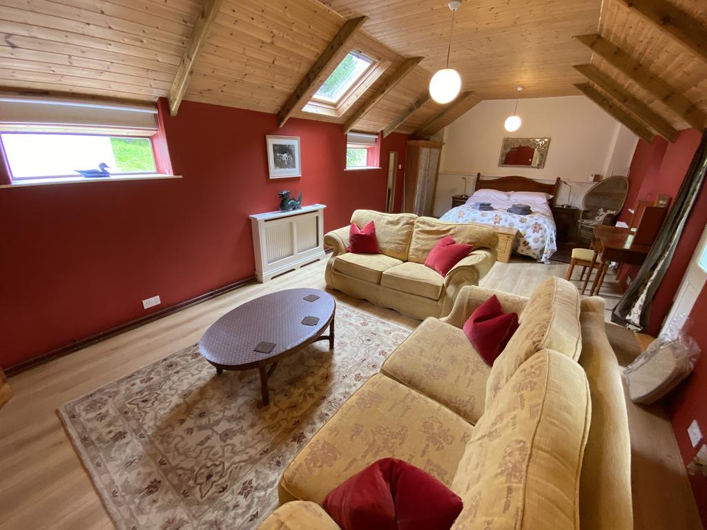 Pandy cottage living room/bedroom