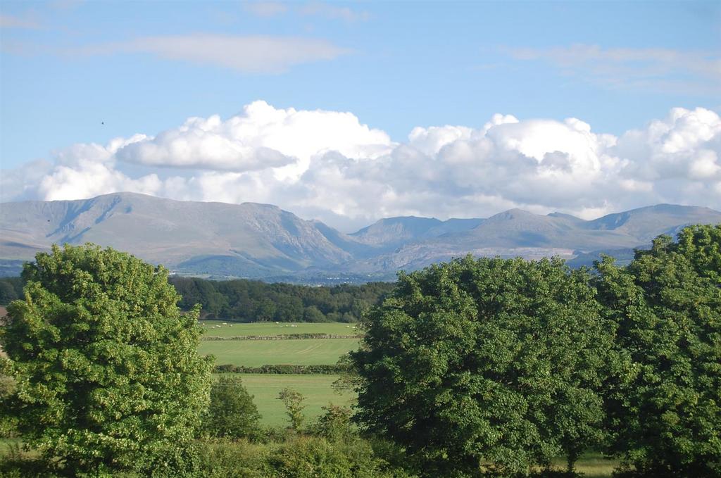 View.JPG