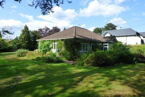 4 bedroom bungalow to rent, Lower Road, Bookham