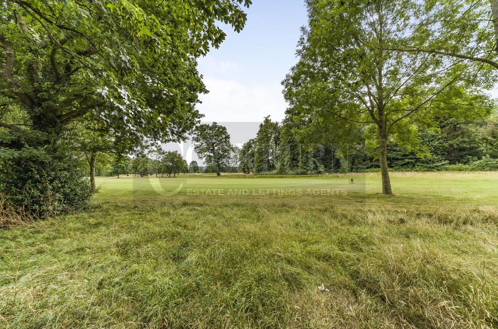 Garden view, garden