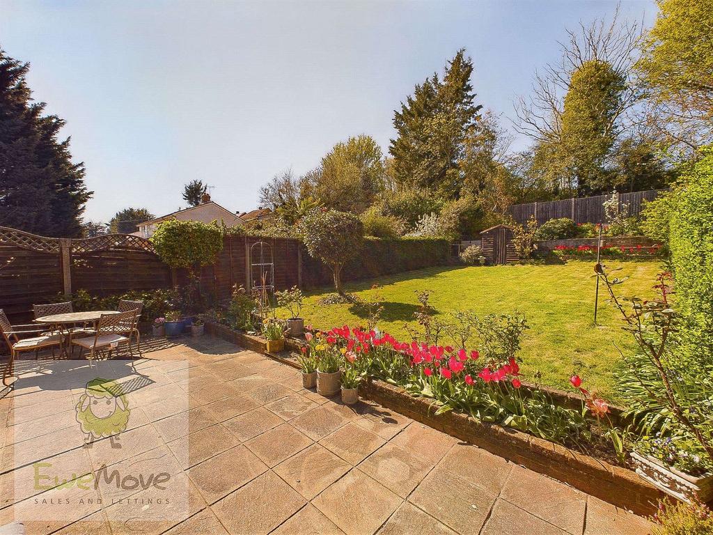 Garden at Back