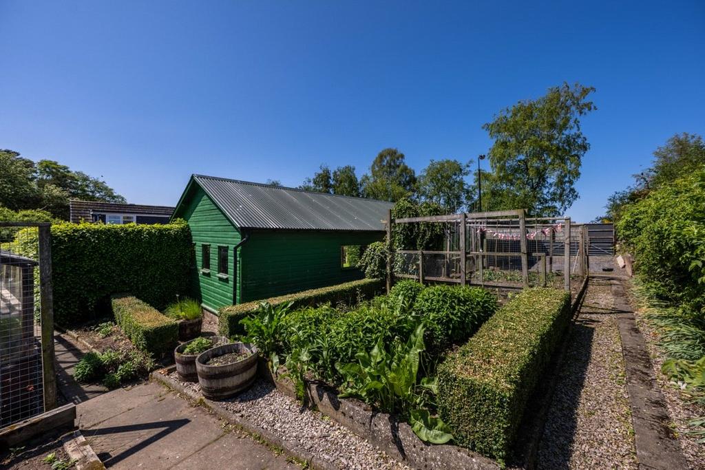 Vegetable Garden