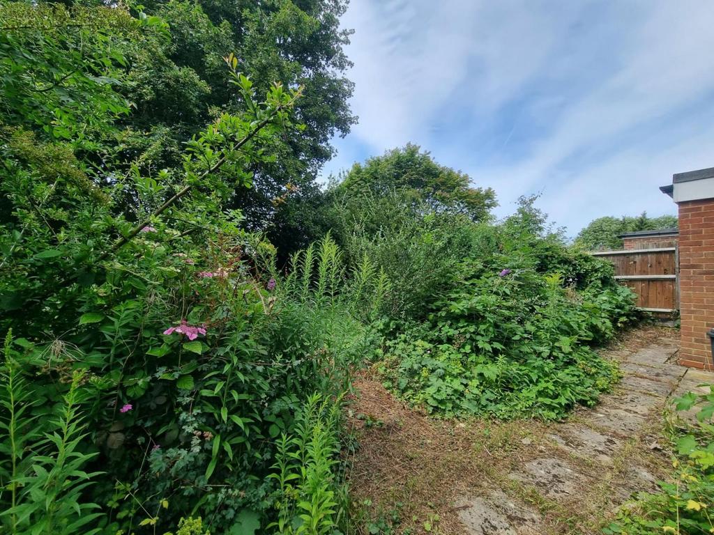 Rear garden