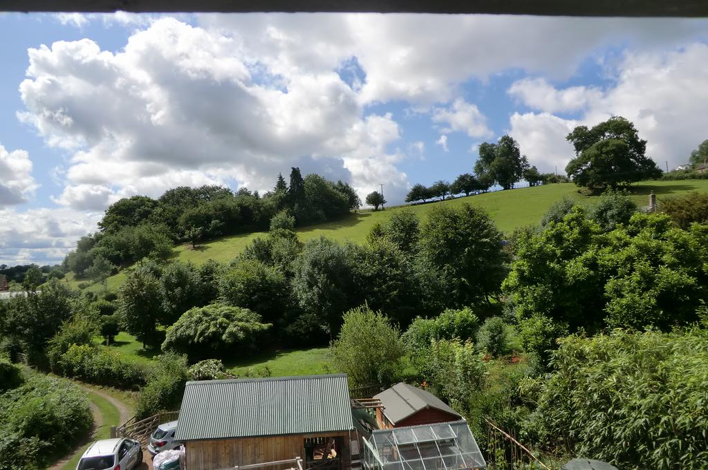 Views - South
