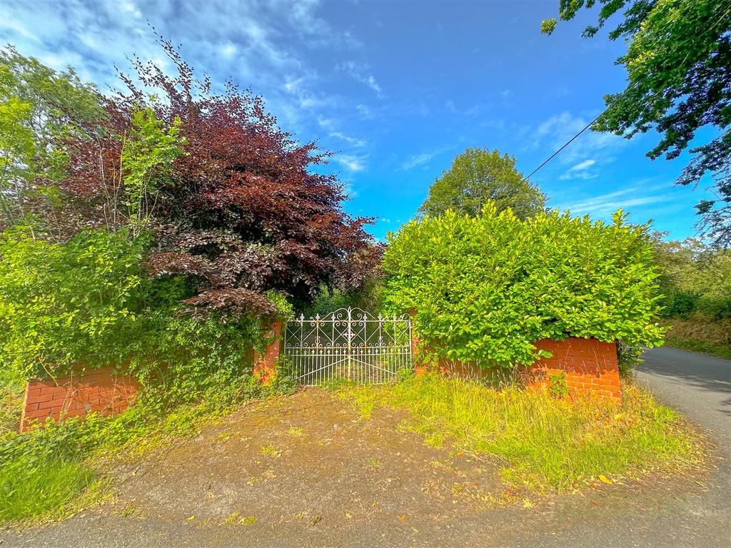 4915894 E-C138-4 C32-8 FB0-83324887 F3 F3.jpeg