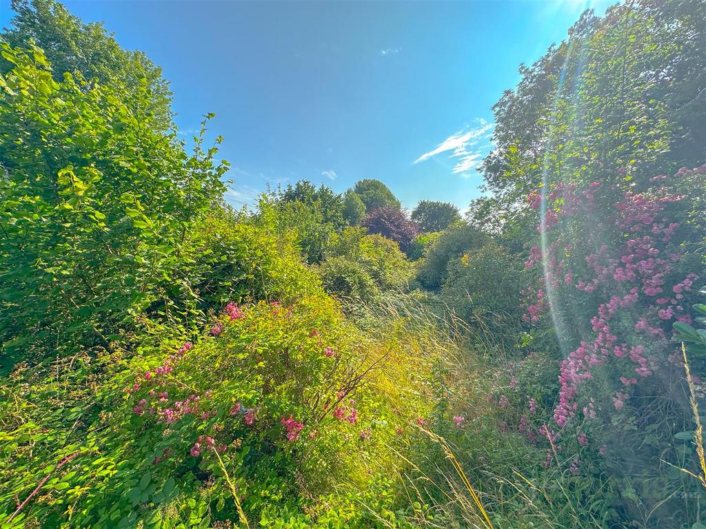 B5 D5 A47 A-098 B-43 BE-A8 BF-6214 CFDB231 E.jpeg