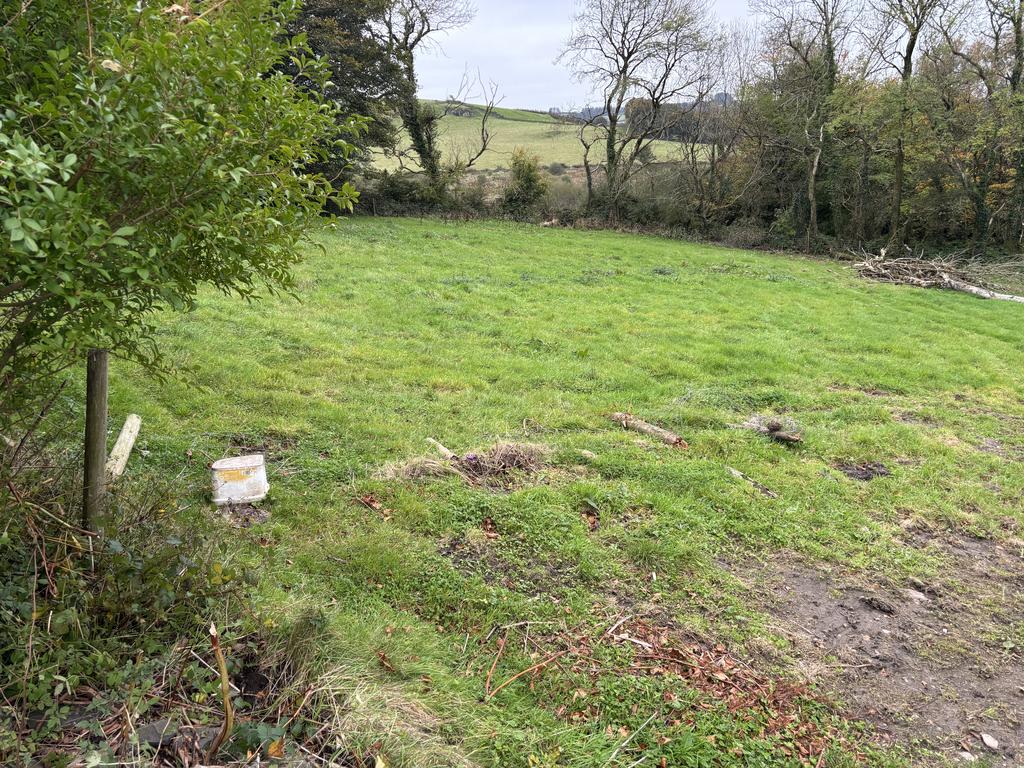 The land