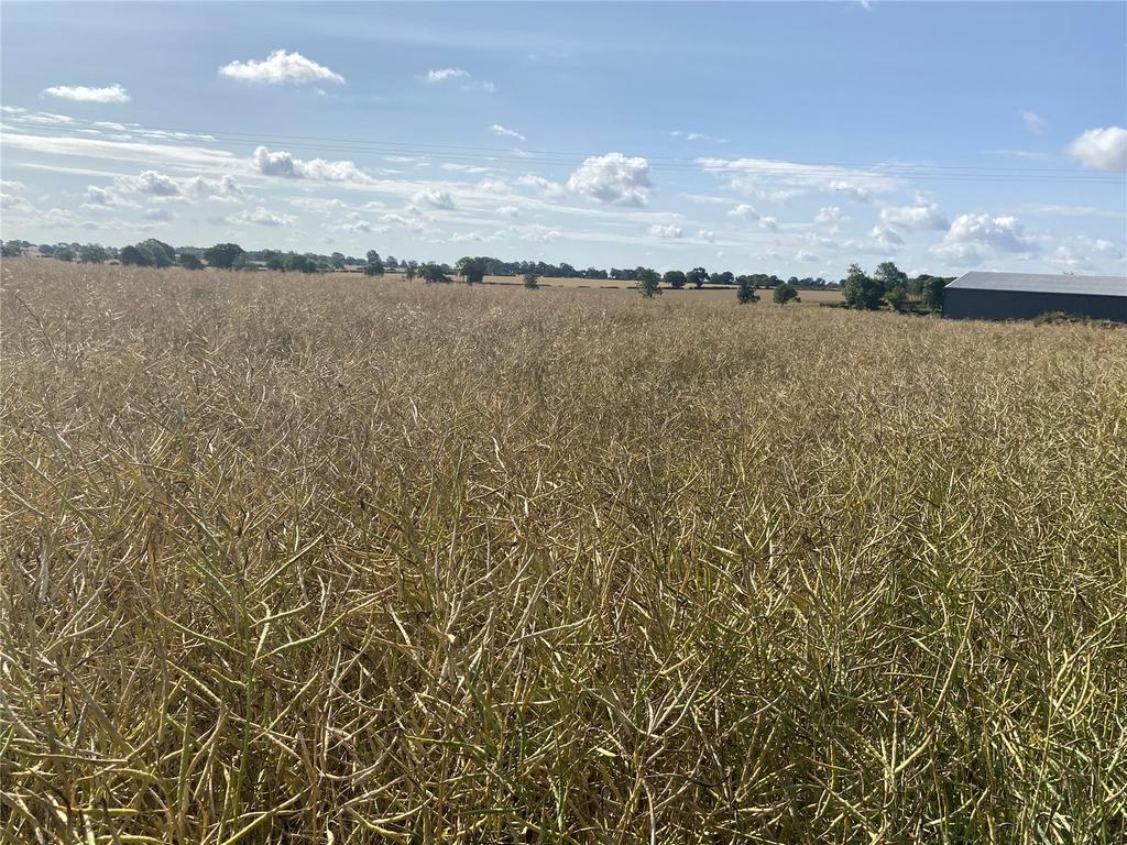 Green, Barnston, Dunmow, Essex, CM6 Land for sale £800,000