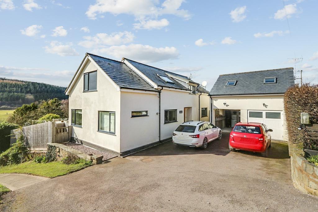 Driveway &amp; Garage