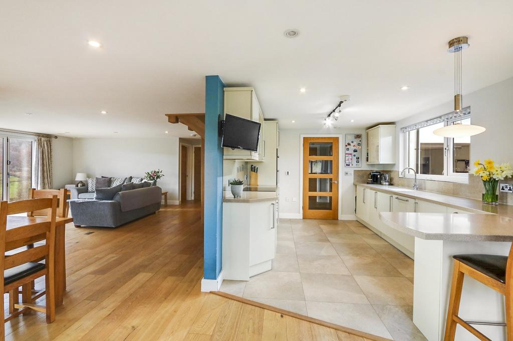 Kitchen/Living/Dining Room