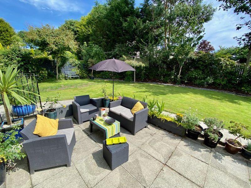 Patio area in back