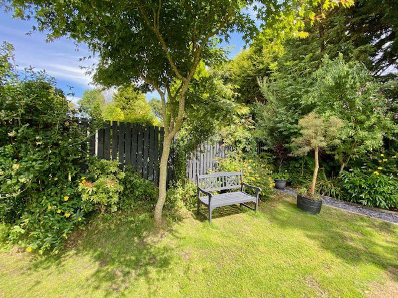 Back garden