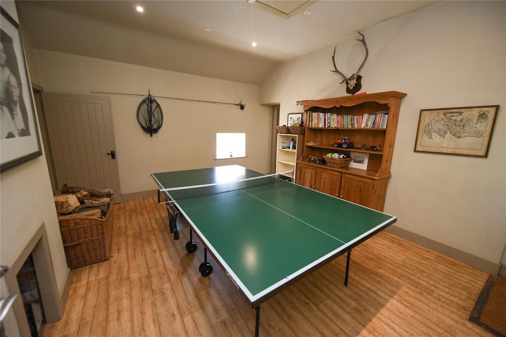 Table Tennis Room