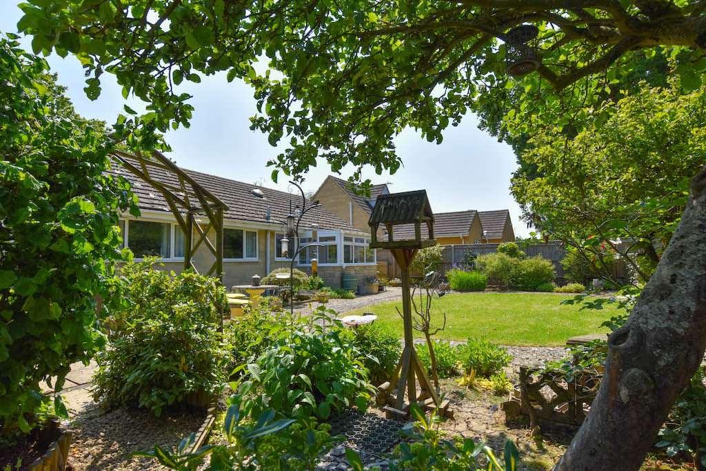 Garden at Back