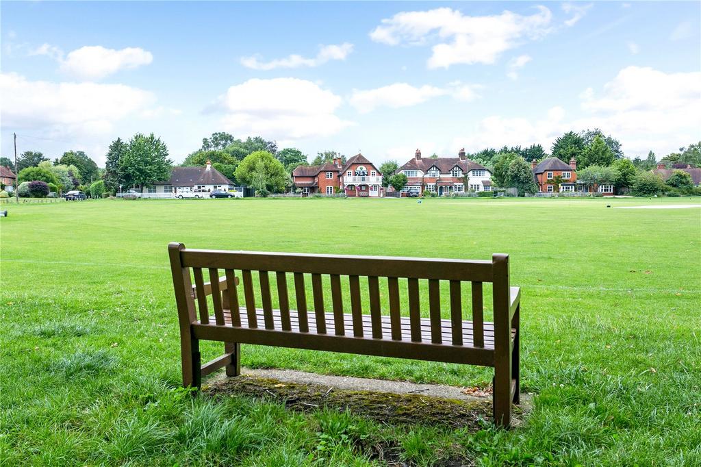 Cricket Pitch