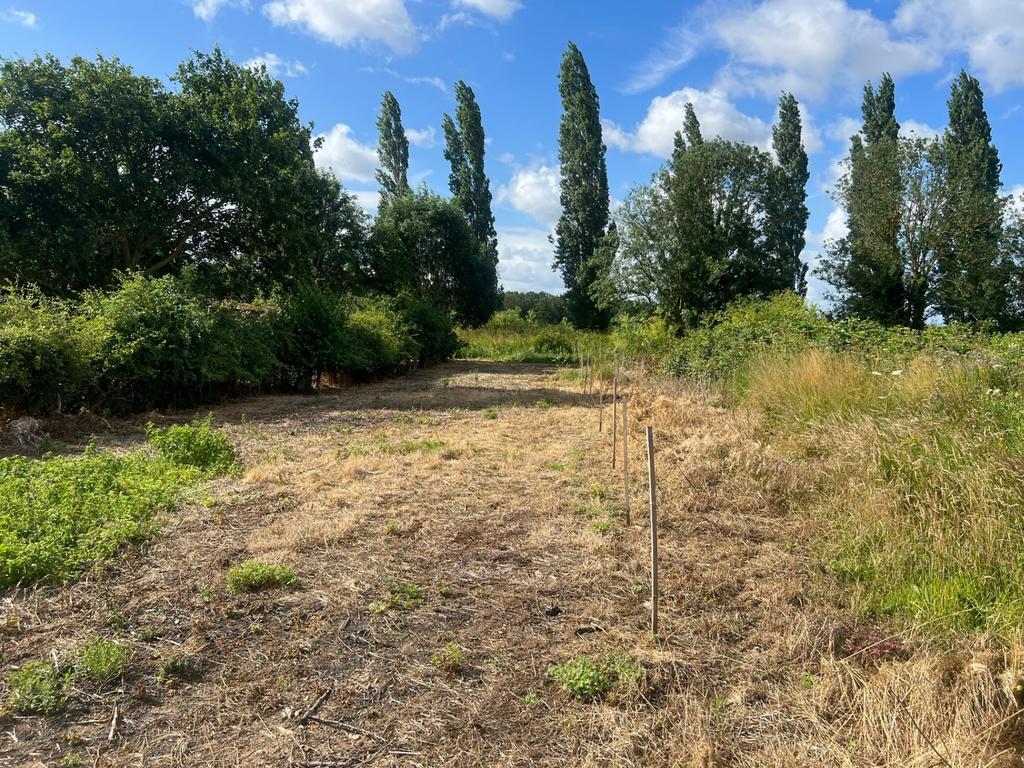 Woodhouse Farm Close, Friday Bridge, Wisbech Plot for sale £175,000