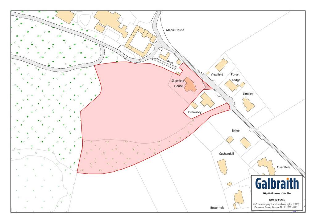 Site Plan