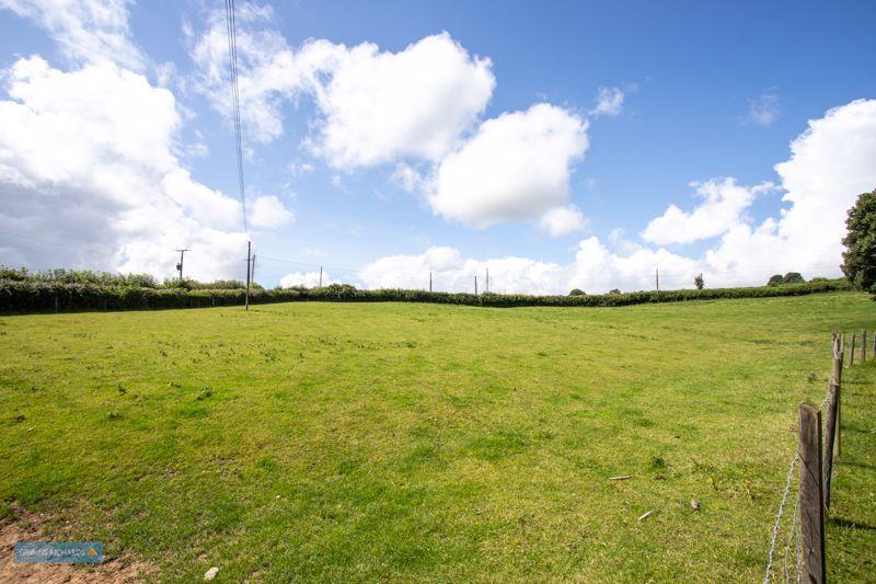 Field 1