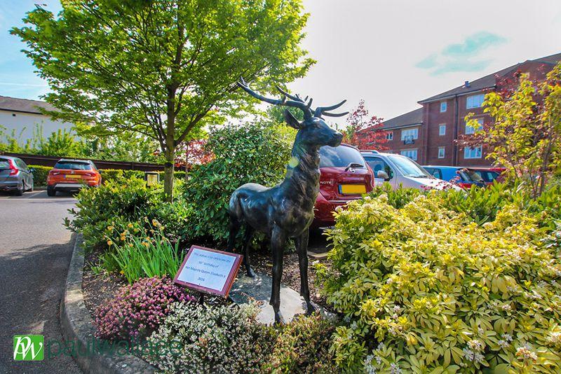 Stag