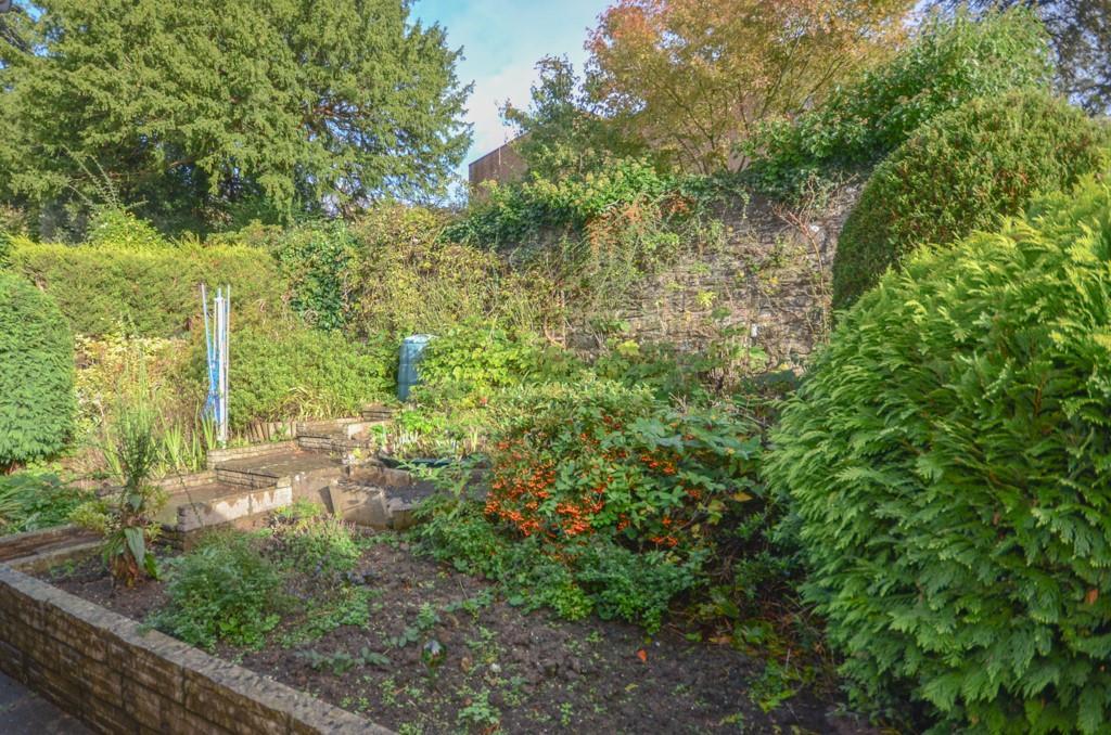 Rear garden.jpg