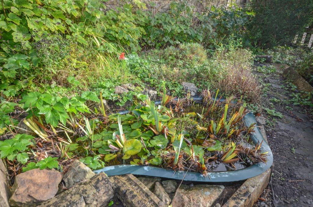 Rear garden pic 3.jpg