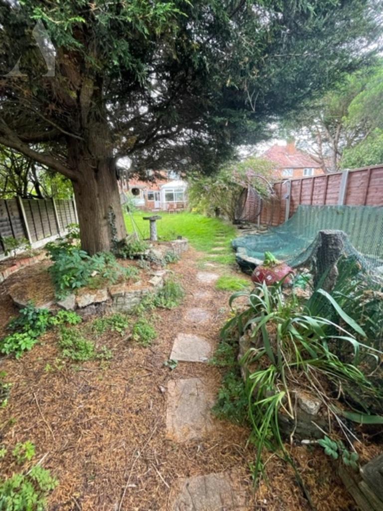 Queens road garden 2