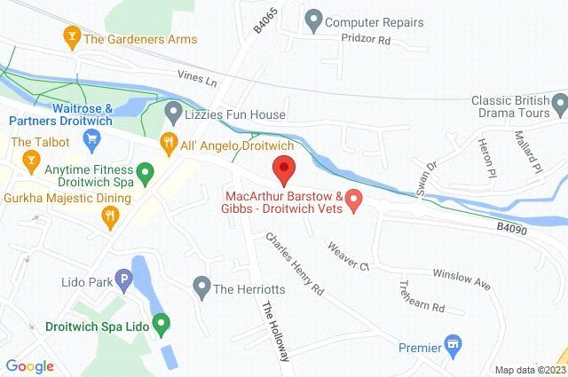 Google Maps Image