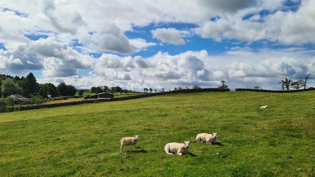 Views Over Fields