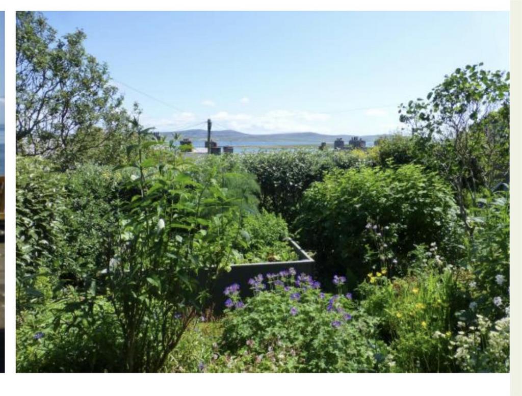 Garden which is up the Longlea lane