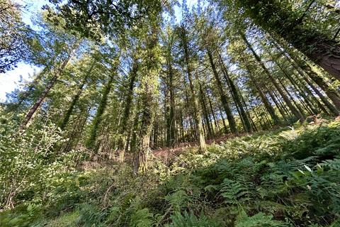 Land for sale - Lewdown, Devon