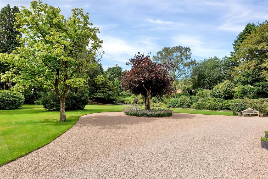 Driveway