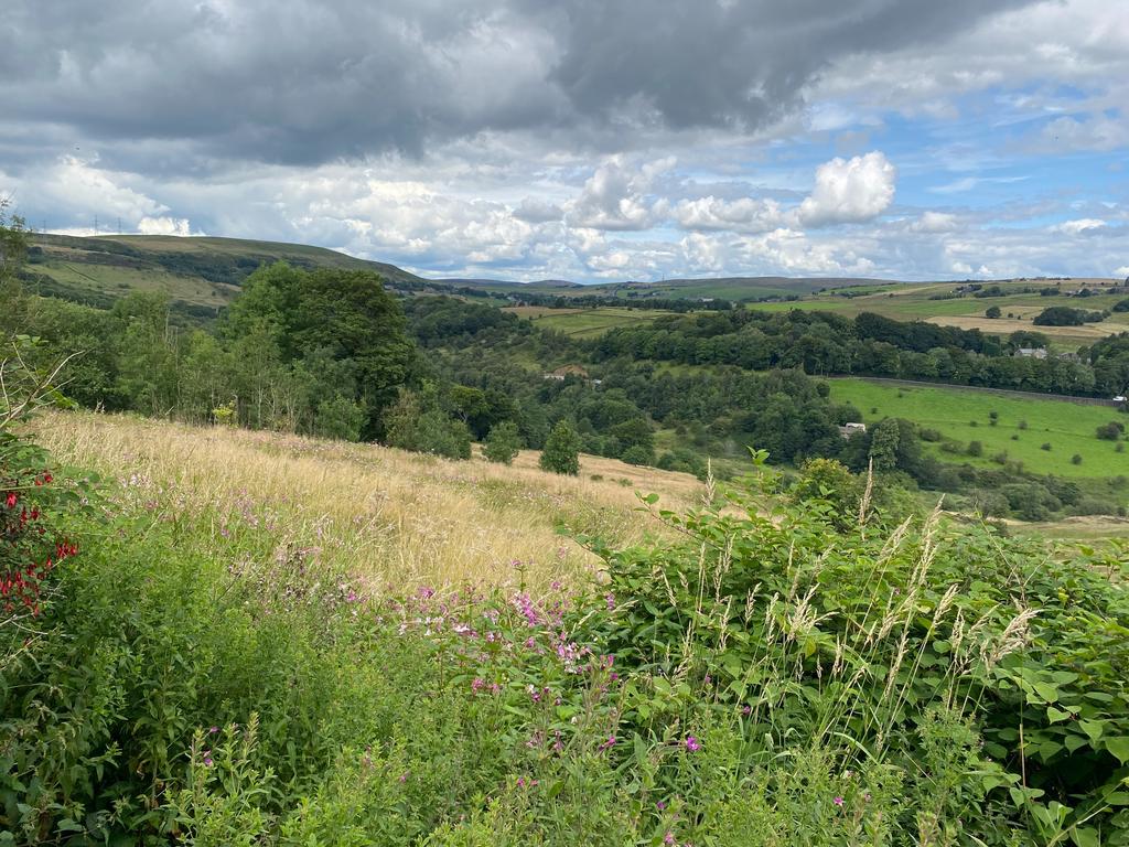 Grains Road, Saddleworth, Oldham, OL3 Farm land £140,000