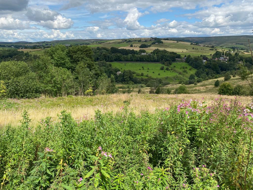 Grains road, Saddleworth, Oldham, OL3 Farm land £80,000