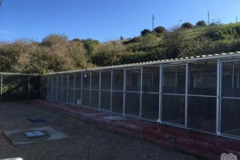 2 bedroom detached bungalow for sale, Westfield Avenue North, Saltdean, Brighton, BN2 8HP
