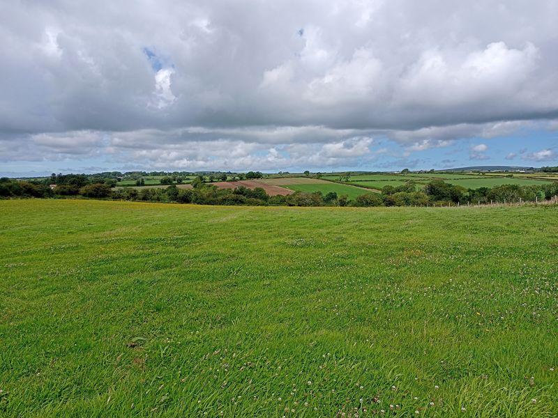 Paddock 1 And Views