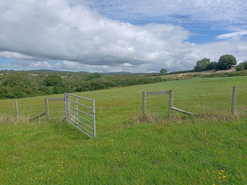 Entrance To Paddock