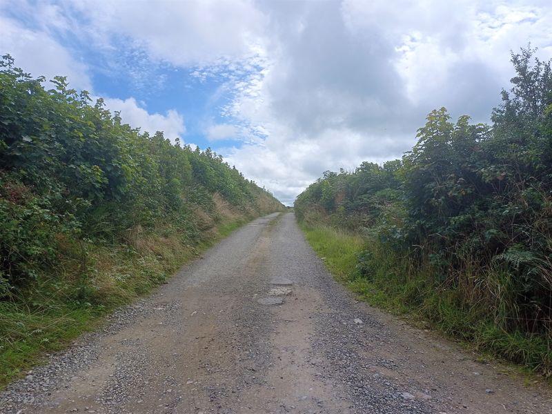 Lane To Site (Owned)