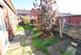Garden 1
