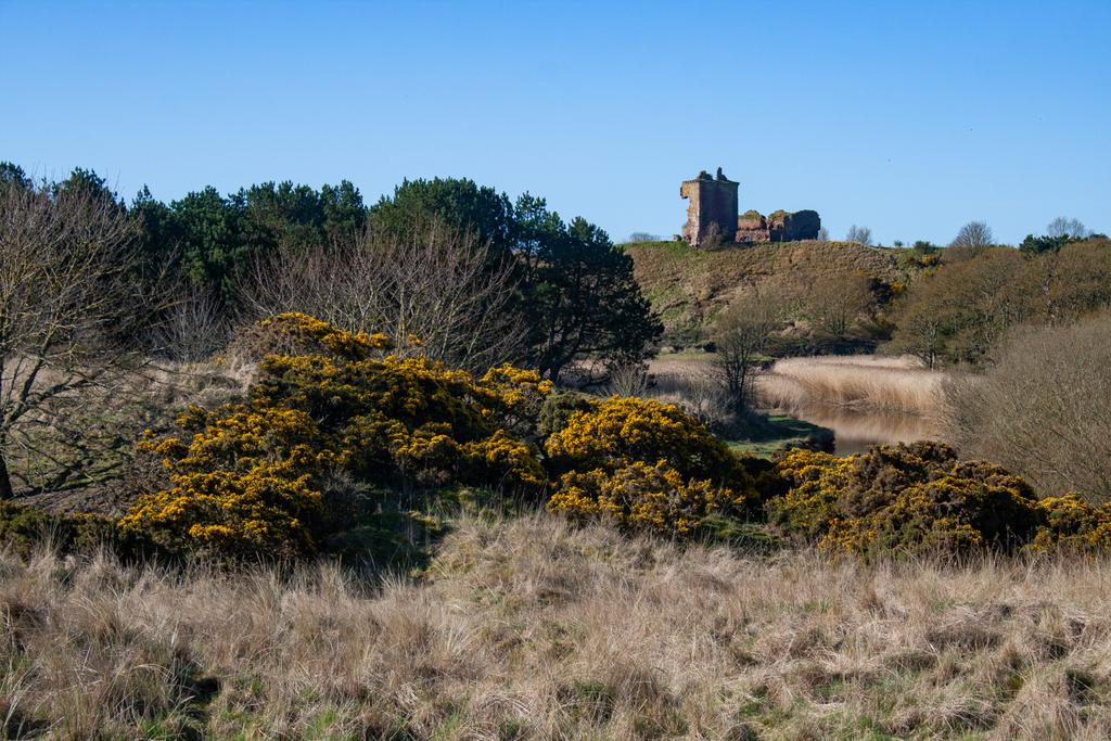 View To Red Castle