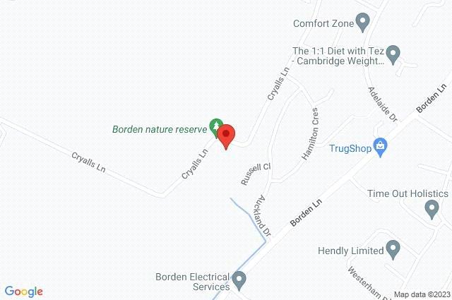 Google Maps Image