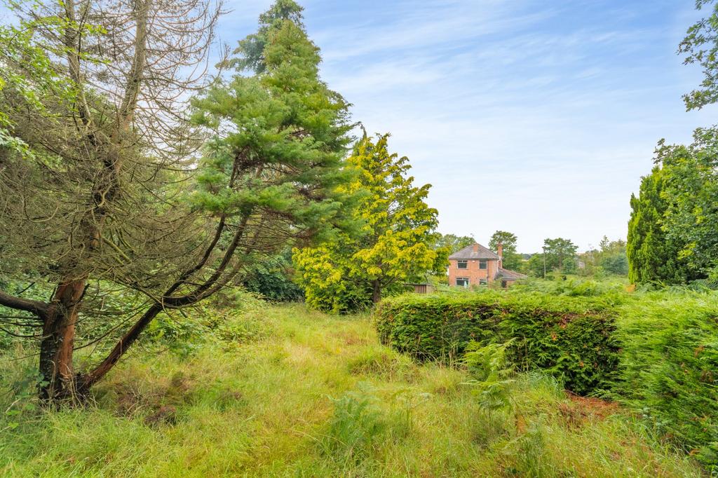 Garden and Land