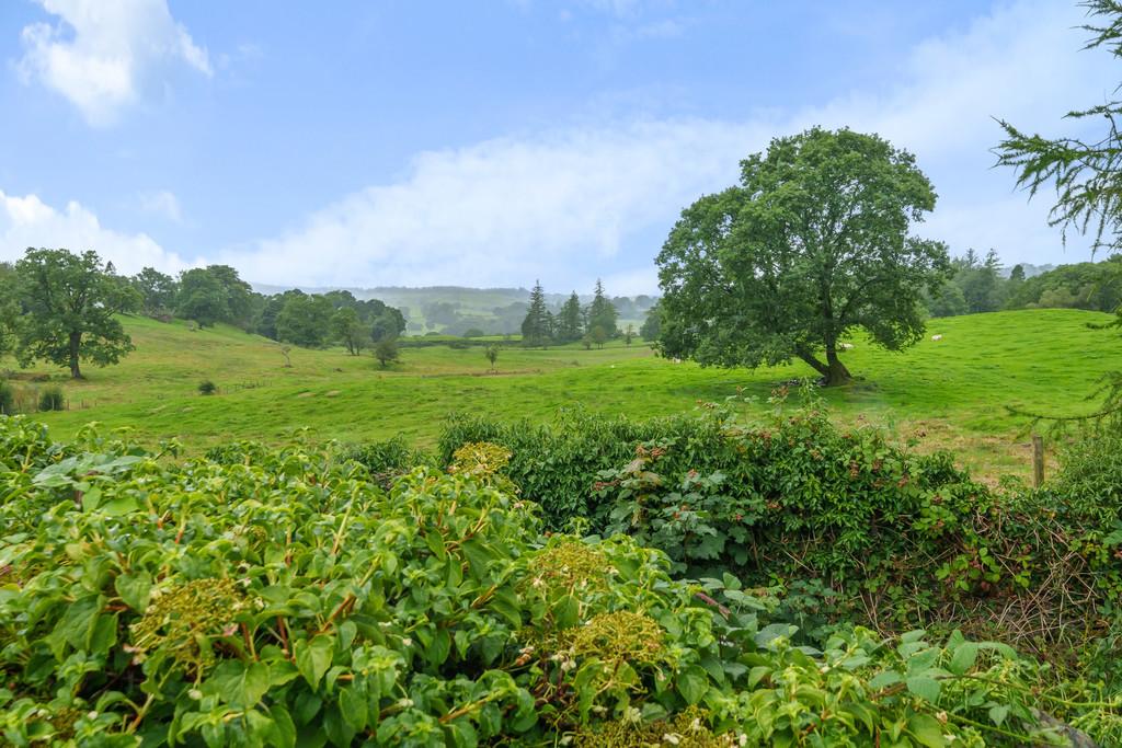 Communal Garden and View