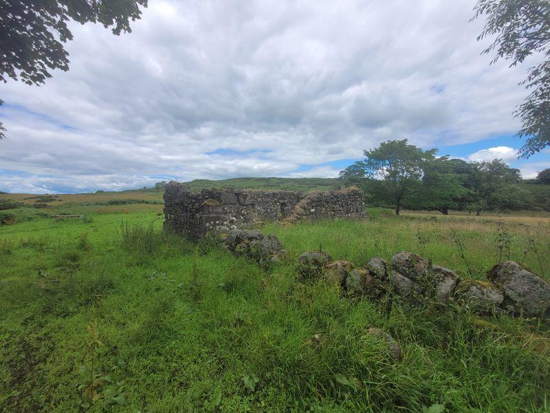 Farmstead-ruin-south