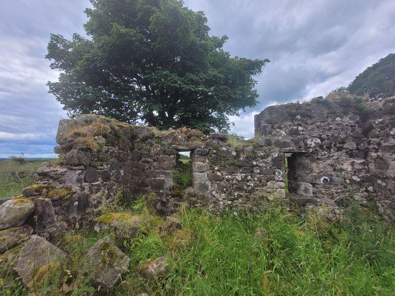 Farmstead-ruin