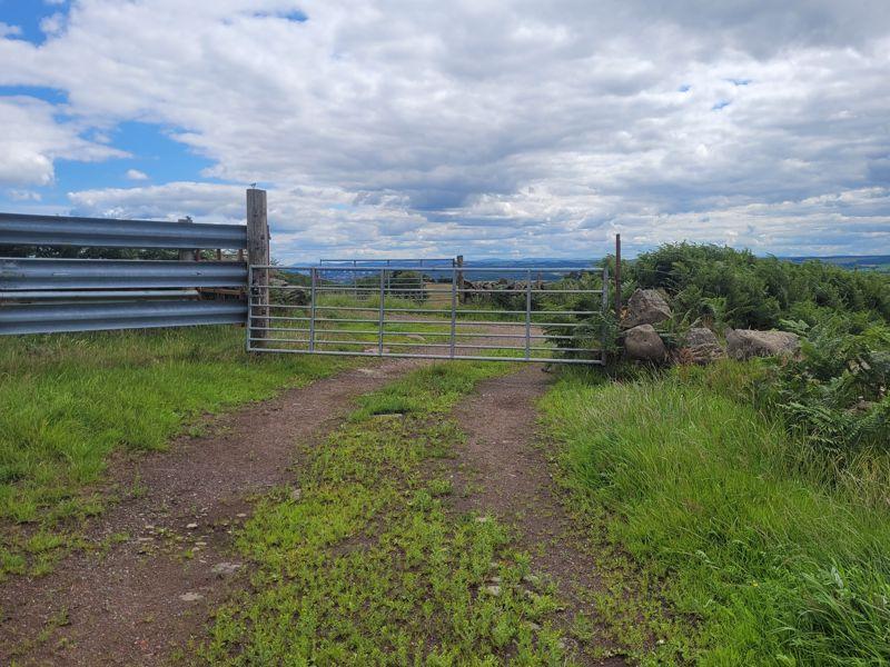 Entrance-gate-and-cattle-court