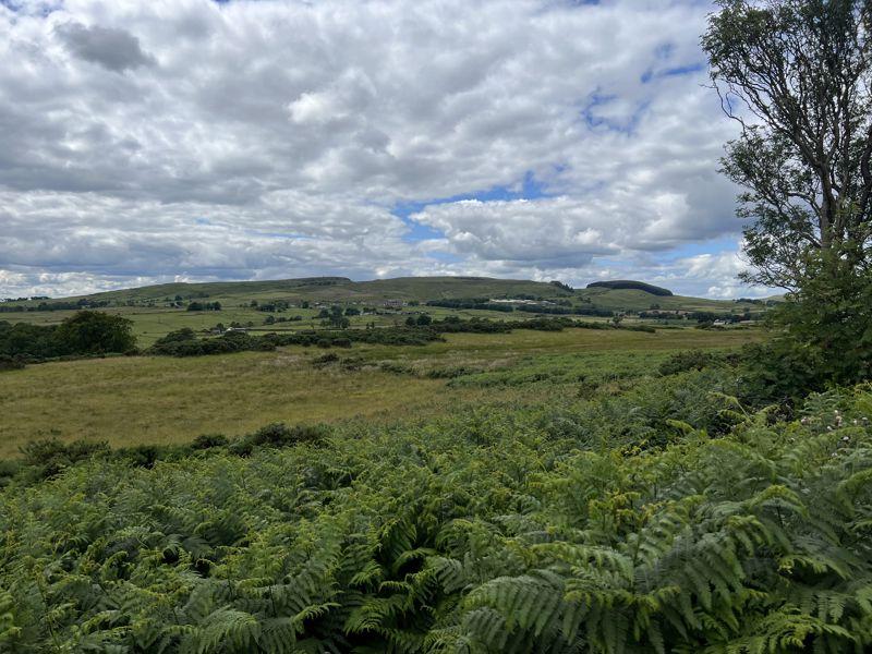 Land South